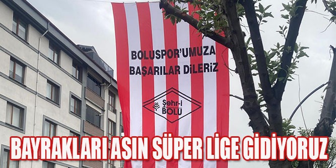 Bayrakları Çıkarın Geliyoruz!..