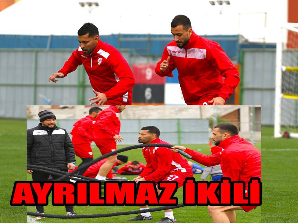 Ayrılmaz İkili