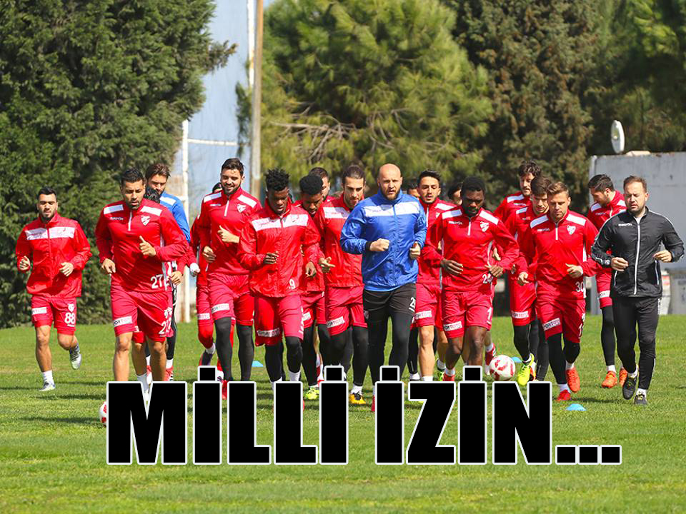 Milli Ara...